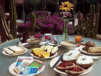 ** Hotel Desert Paradise Resort - Gay Men'S Resort Palm Springs United States