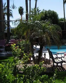 ** Hotel Desert Paradise Resort - Gay Men'S Resort Palm Springs United States