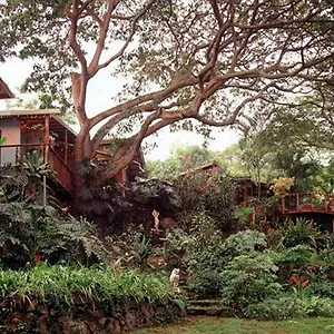 Dragonfly Ranch & Eco-spa Guest house